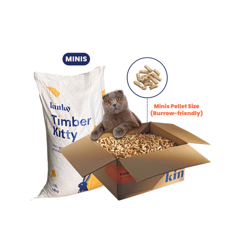 Timber Kitty Minis (IN STOCK!)