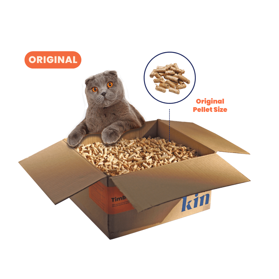 Timber Kitty Best DustFree Wood Cat Litter KinKo