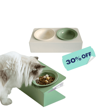 CLIFF: Dual Tilt Ergonomic Feeder