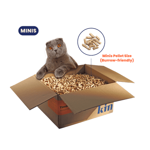 Timber Kitty Minis
